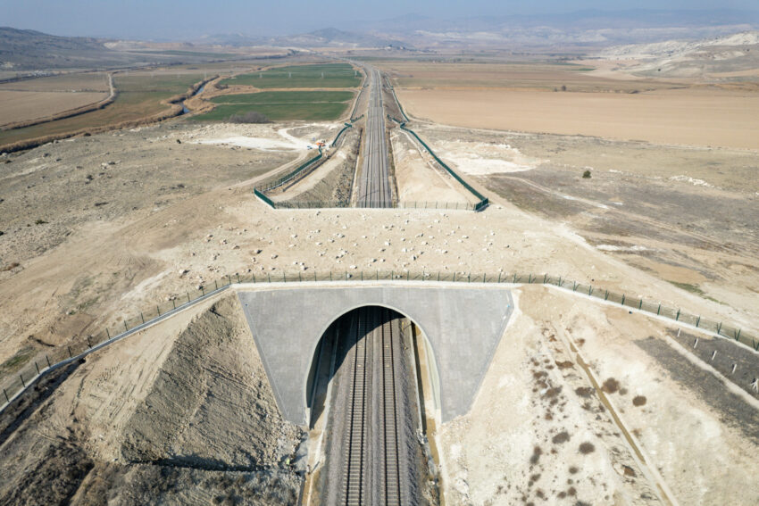 Türkiye’de Ekolojik Köprüler İnşa Etmek